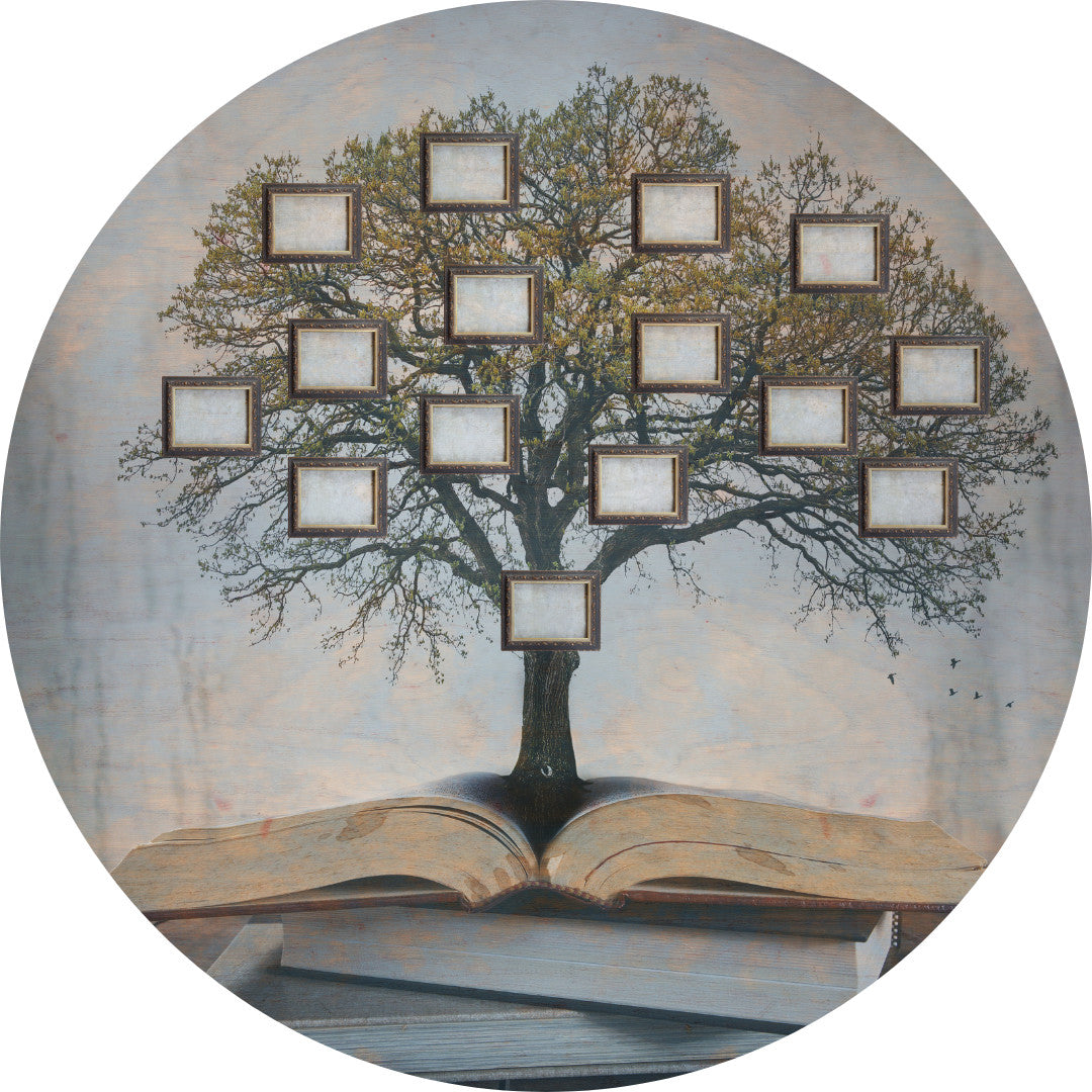 Ősök ereje meditáció (Everness 2023)